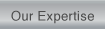 Our Expertise